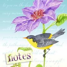 Clematis Birdie