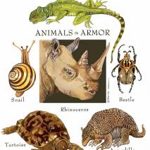 AnimalsArmor