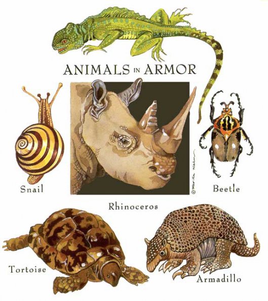 AnimalsArmor