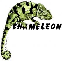 Chamelion