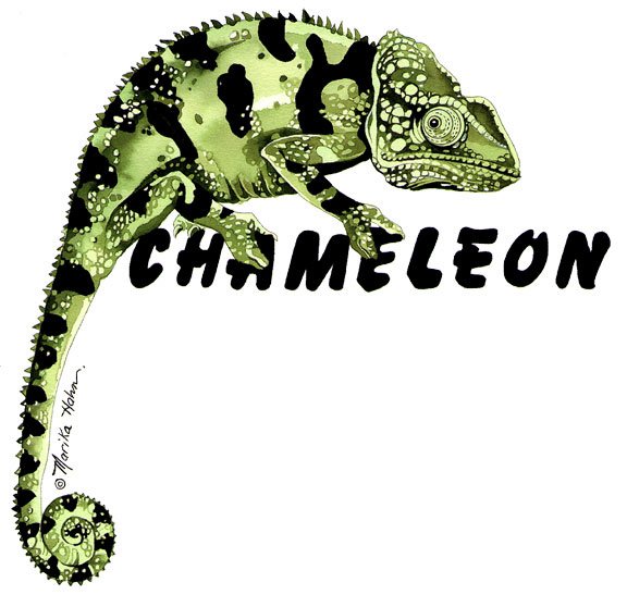 Chamelion