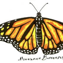 Monarch