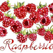 Raspberries