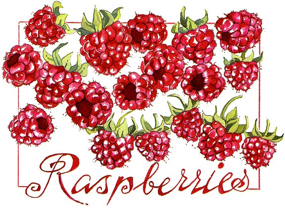 Raspberries